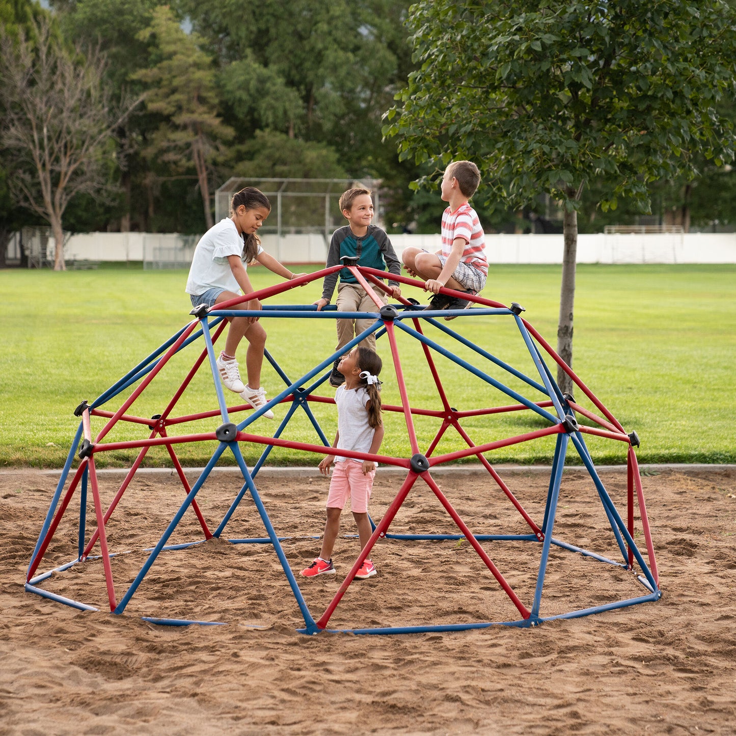 Lifetime 60-Inch Climbing Dome