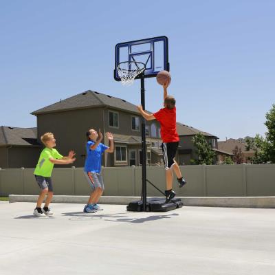 Lifetime Adjustable Portable Basketball Hoop (42-Inch Acrylic)