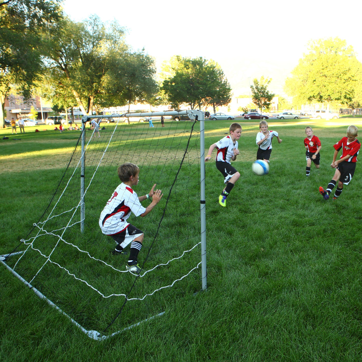 Adjustable Soccer Goal