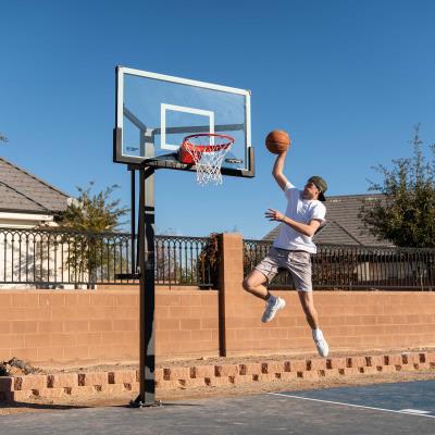 Lifetime Mammoth Bolt Down Basketball Hoop (60-Inch Tempered Glass)