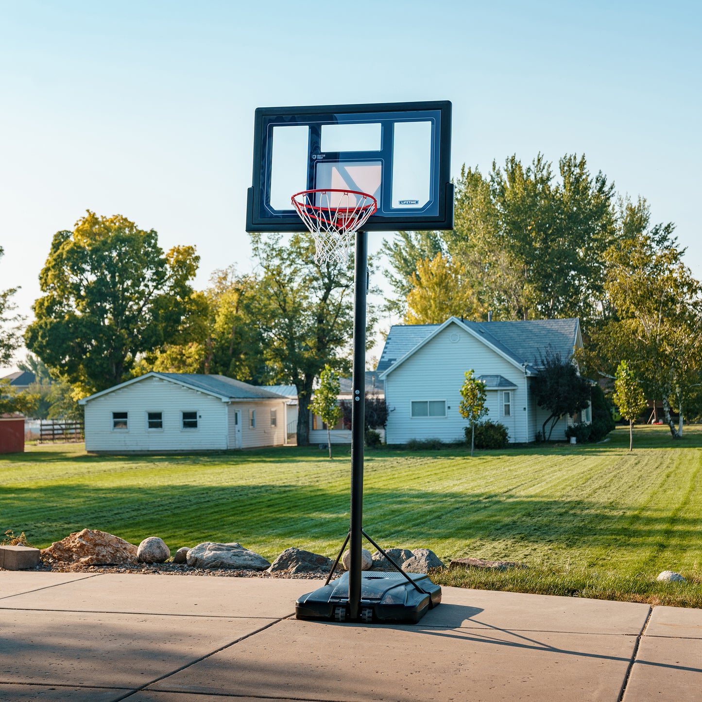 Lifetime Adjustable Portable Basketball Hoop (50-Inch Polycarbonate)