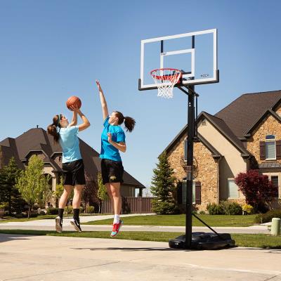 Lifetime Adjustable Portable Basketball Hoop (54-Inch Polycarbonate)