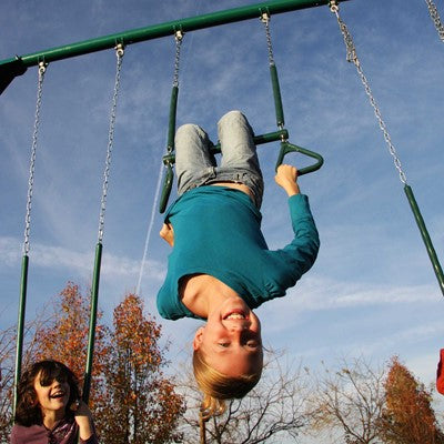 Lifetime Metal Swing Set (Earthtone)