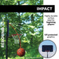 Lifetime Poolside Adjustable Basketball Hoop (44-Inch Impact)