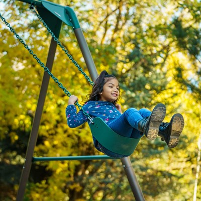 Lifetime Metal Swing Set (Earthtone)