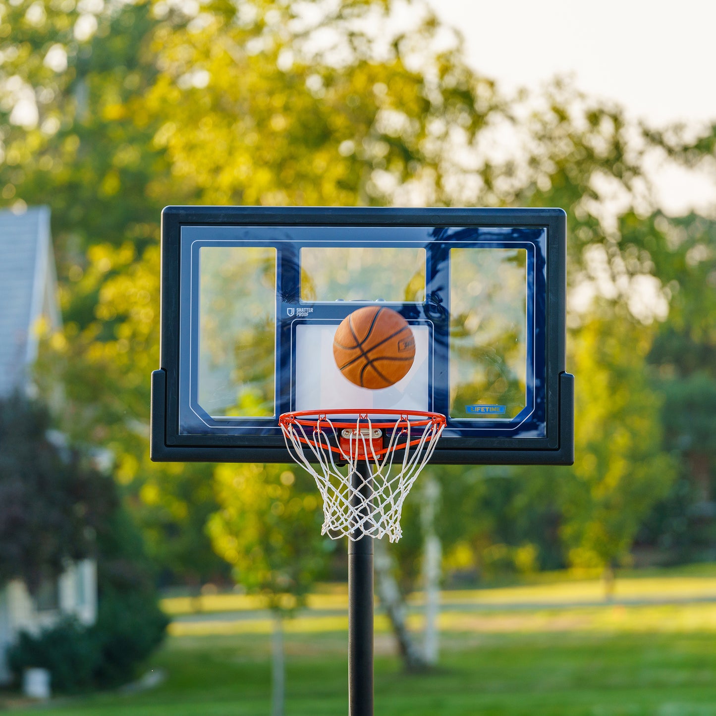 Lifetime Adjustable Portable Basketball Hoop (50-Inch Polycarbonate)