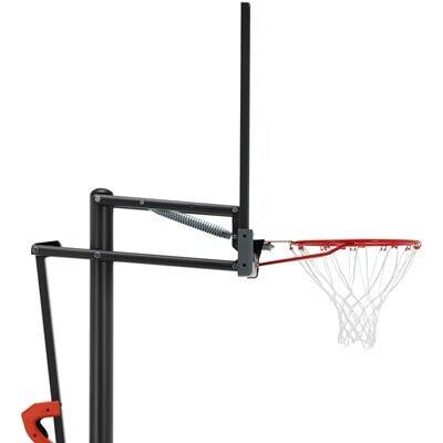 Lifetime Adjustable Portable Basketball Hoop (54-Inch Polycarbonate)