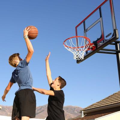 Lifetime Adjustable In-Ground Basketball Hoop (50-Inch Polycarbonate)