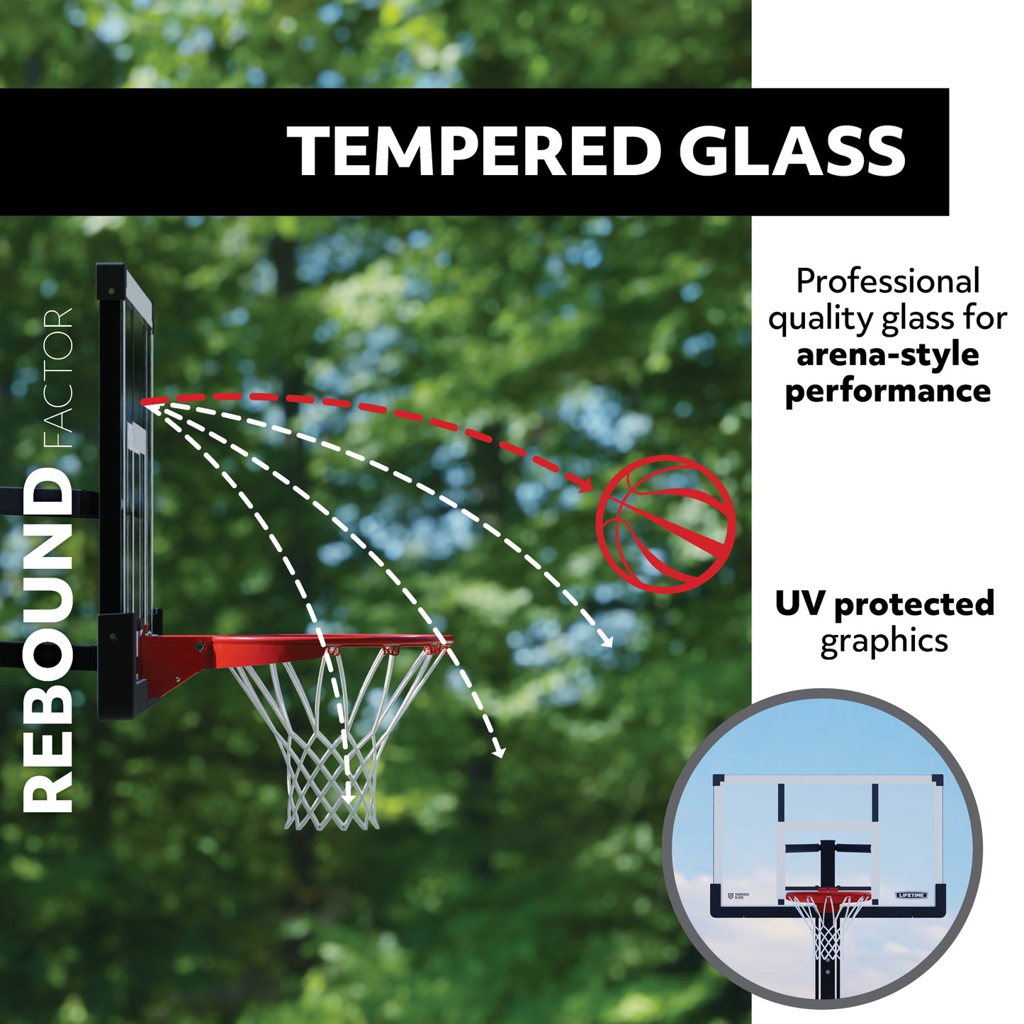 Lifetime Adjustable In-Ground Basketball Hoop (54-Inch Tempered Glass)