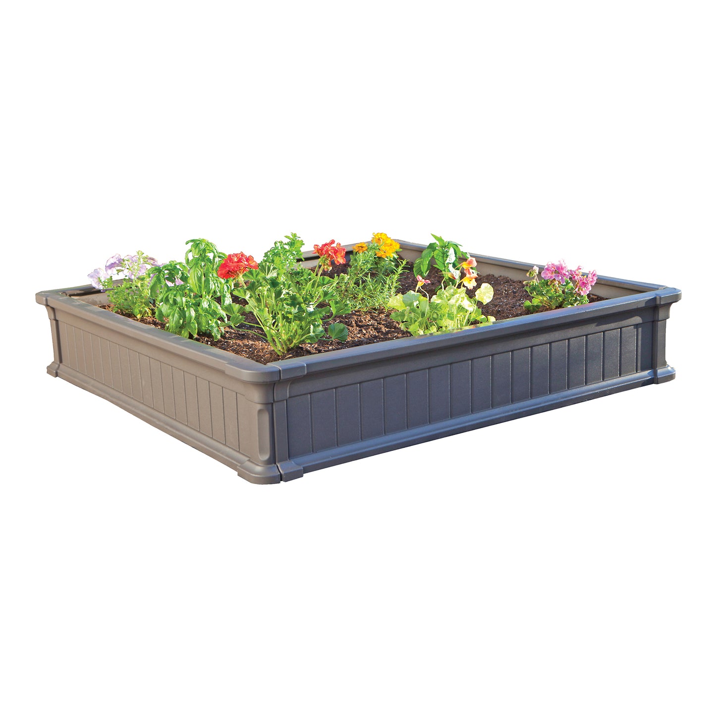 Raised Garden Bed Kit (2 Beds, 1 Enclosure)