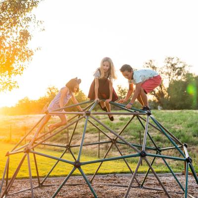 Lifetime 60-Inch Climbing Dome