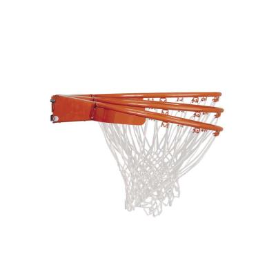 Lifetime Adjustable In-Ground Basketball Hoop (54-Inch Polycarbonate)